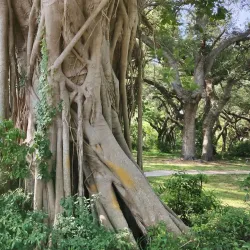 Snake Warrior's Island Park - Pembroke Pines