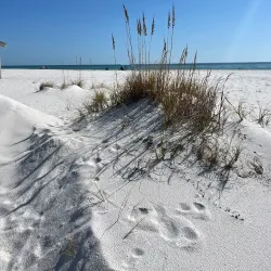 Gulf Islands National Seashore - Pensacola