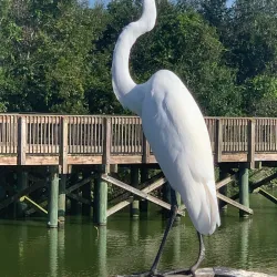 Eagle Lake Park - Pinellas Park
