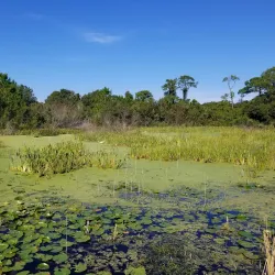 Eagle Lake Park - Pinellas Park