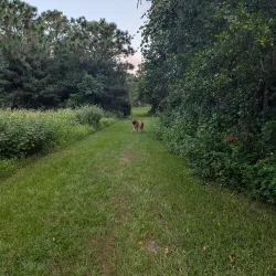 Eagle Lake Park - Pinellas Park
