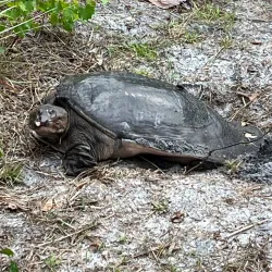 Lake Seminole Park - Pinellas Park