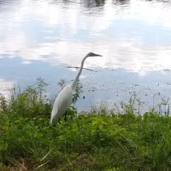 Lake Seminole Park - Pinellas Park
