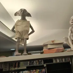 Pinellas Park Community Center - Pinellas Park