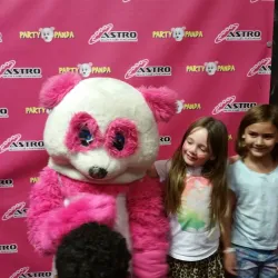 Pinellas Park Skate Park - Pinellas Park