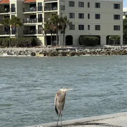 Sunset Hills Park - Pinellas Park