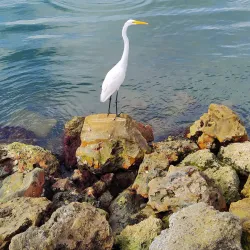 Sunset Hills Park - Pinellas Park