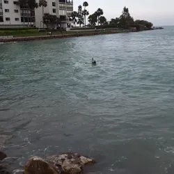 Sunset Hills Park - Pinellas Park