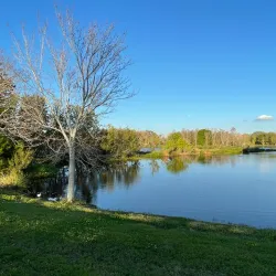 Walter Fuller Park - Pinellas Park