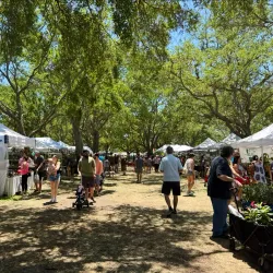 Walter Fuller Park - Pinellas Park