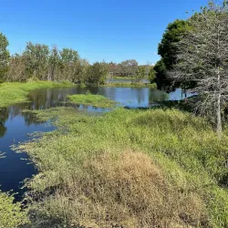 Walter Fuller Park - Pinellas Park