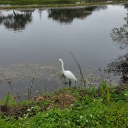 Walter Fuller Recreation Center and Park - Pinellas Park
