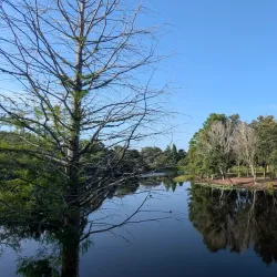 Walter Fuller Recreation Center and Park - Pinellas Park