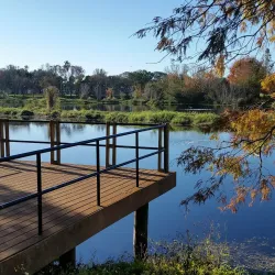 Walter Fuller Recreation Center and Park - Pinellas Park
