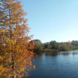 Walter Fuller Recreation Center and Park - Pinellas Park