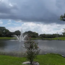 Central Park - Plantation