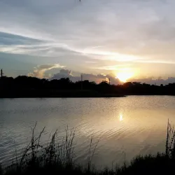 Plantation Central Park Amphitheater - Plantation