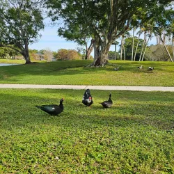 Plantation Heritage Park - Plantation