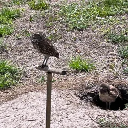 Plantation Heritage Park - Plantation