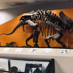 Plantation Historical Museum - Plantation