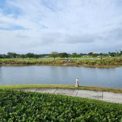 Plantation Preserve Golf Course and Club - Plantation