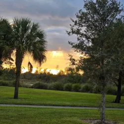 Volunteer Park - Plantation