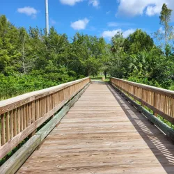 Volunteer Park - Plantation