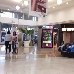 Westfield Broward Mall - Plantation