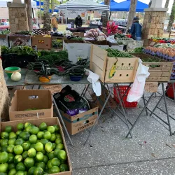 Port Orange Farmers Market - Port Orange