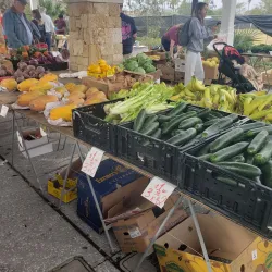 Port Orange Farmers Market - Port Orange