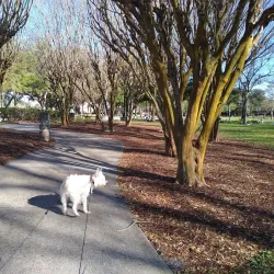 Port Orange Skate Park - Port Orange
