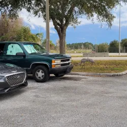 Saxon Boulevard Park - Port Orange