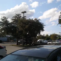 Saxon Boulevard Park - Port Orange