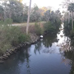 Saxony Park - Port Orange