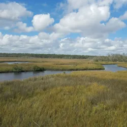 Spruce Creek Park - Port Orange