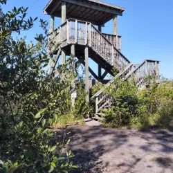 Spruce Creek Park - Port Orange