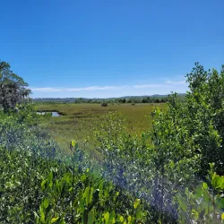 Spruce Creek Park - Port Orange