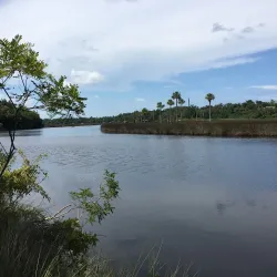 Spruce Creek Preserve - Port Orange