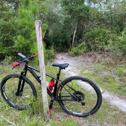 Spruce Creek Preserve - Port Orange