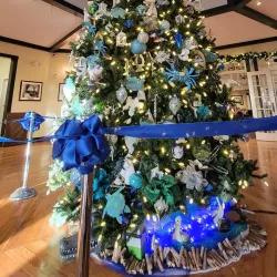 The Casements - Port Orange