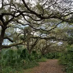 Oak Hammock Park - Port St Lucie