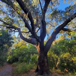 Oak Hammock Park - Port St Lucie