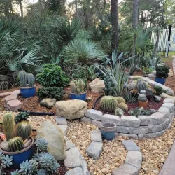 Port St. Lucie Botanical Gardens - Port St Lucie