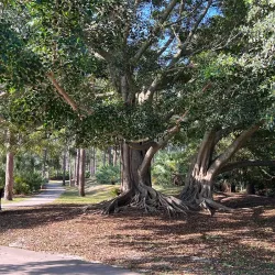 Port St. Lucie Botanical Gardens - Port St Lucie