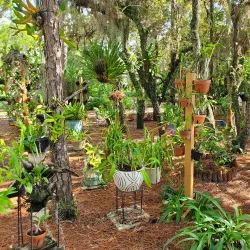 Port St. Lucie Botanical Gardens - Port St Lucie