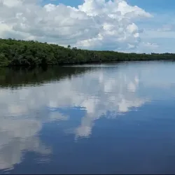 Riverwalk Boardwalk - Port St Lucie