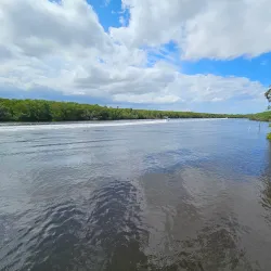 Riverwalk Boardwalk - Port St Lucie