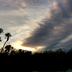 Savannas Preserve State Park - Port St Lucie