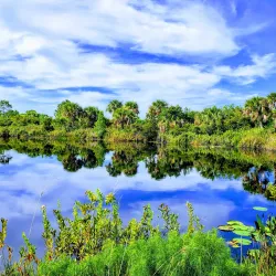 Savannas Preserve State Park - Port St Lucie