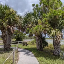 Savannas Preserve State Park - Port St Lucie